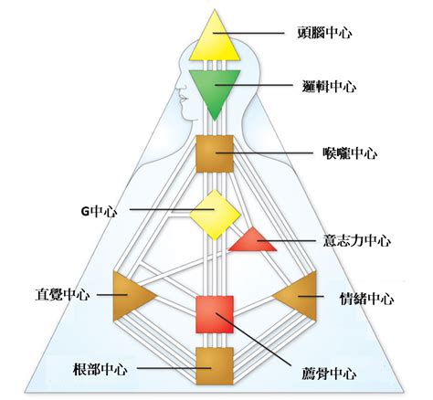 九大能量|人類圖免費分析》9大能量中心、通道閘門代表什麼意。